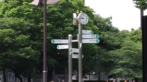 In Ueno Park there's so many buildings housing collections and then there's also the ZOO!